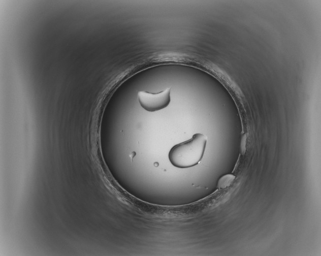 X0000114720529200910211349