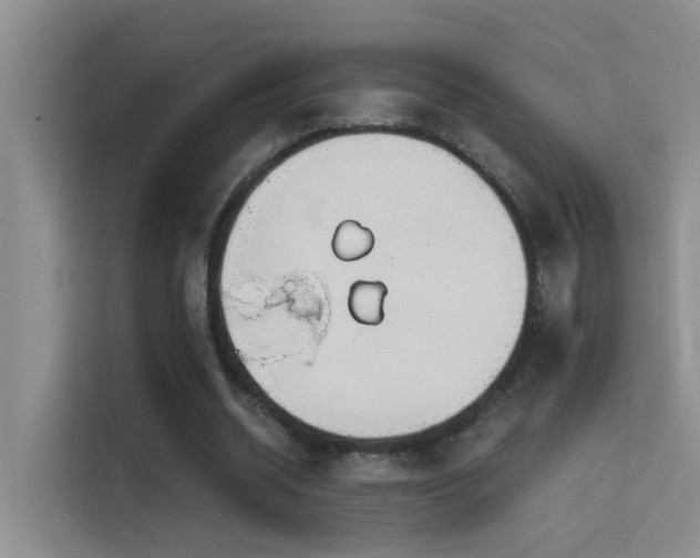 X0000114720534200910211349