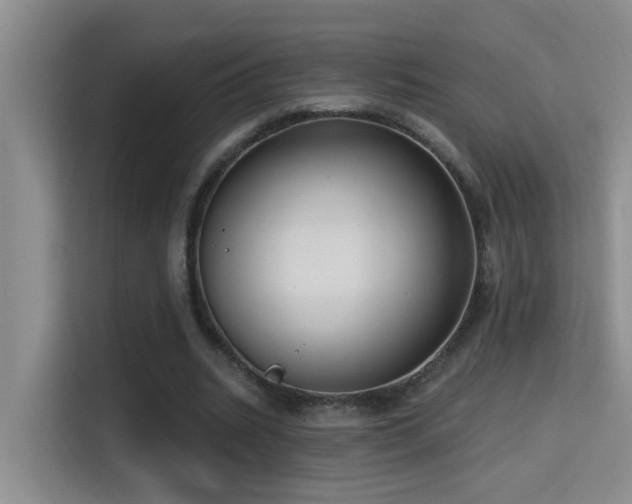 X0000114720535200910211349