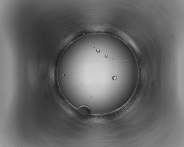 X0000114720537200910211349