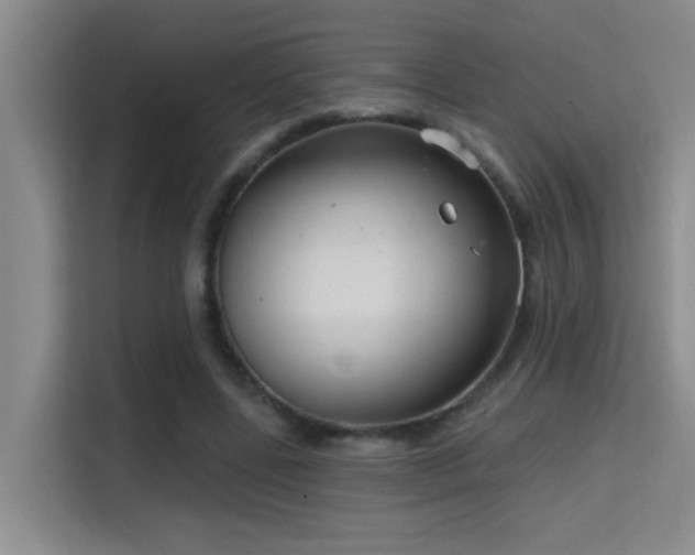 X0000114720539200910211349