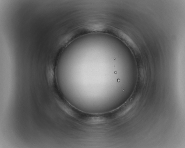 X0000114720541200910211349