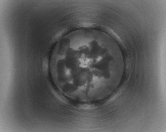 X0000114720542200910211349