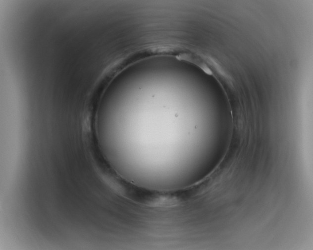 X0000114720543200910211349