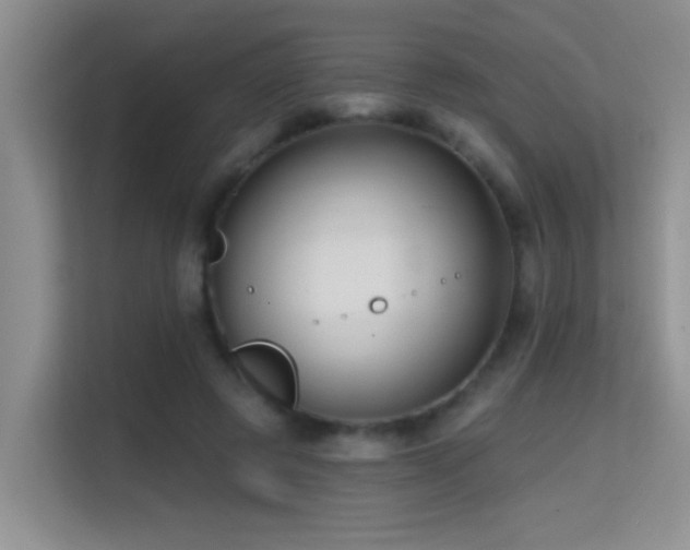 X0000114720545200910211349