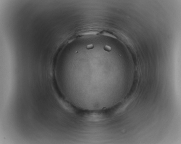 X0000114720546200910211349