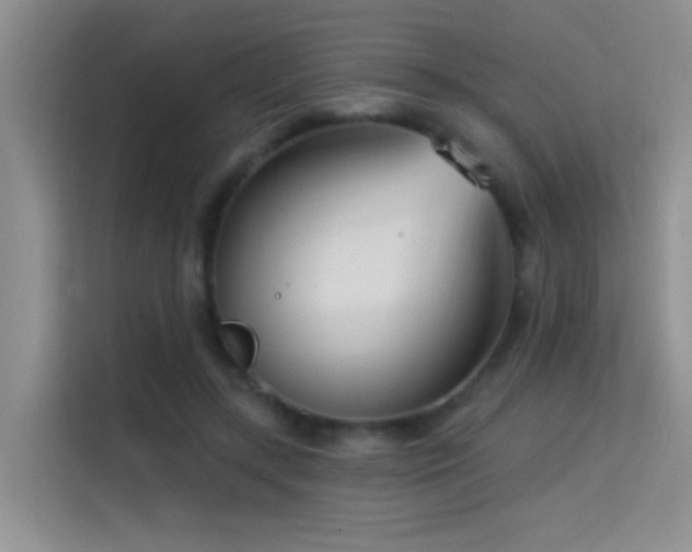 X0000114720547200910211349