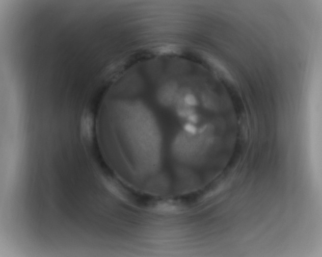 X0000114720550200910211349