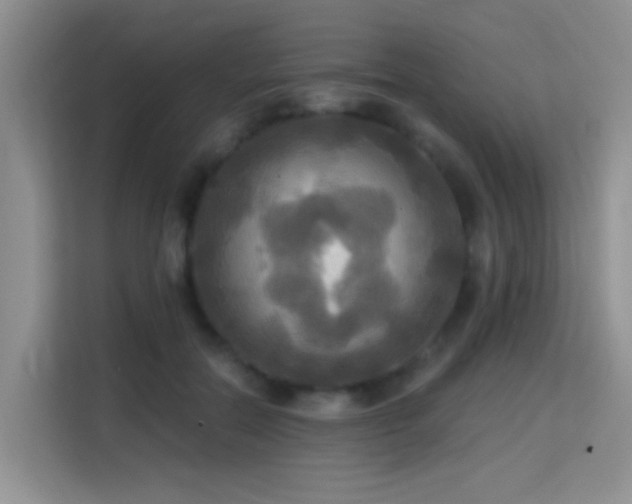 X0000114720554200910211349