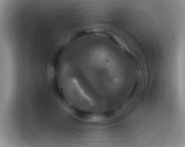 X0000114720555200910211349