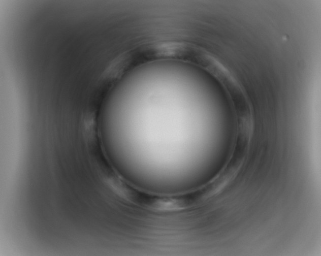 X0000114720557200910211349