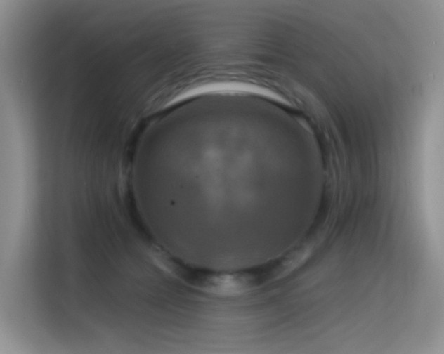 X0000114720558200910211349