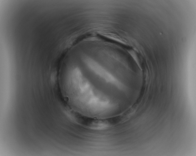 X0000114720559200910211349