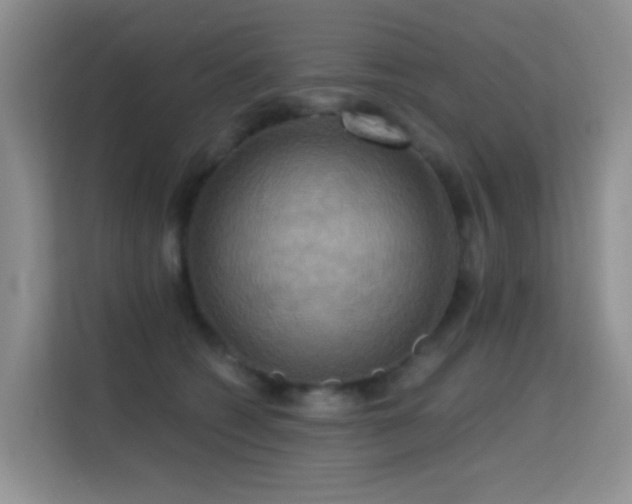 X0000114720562200910211349