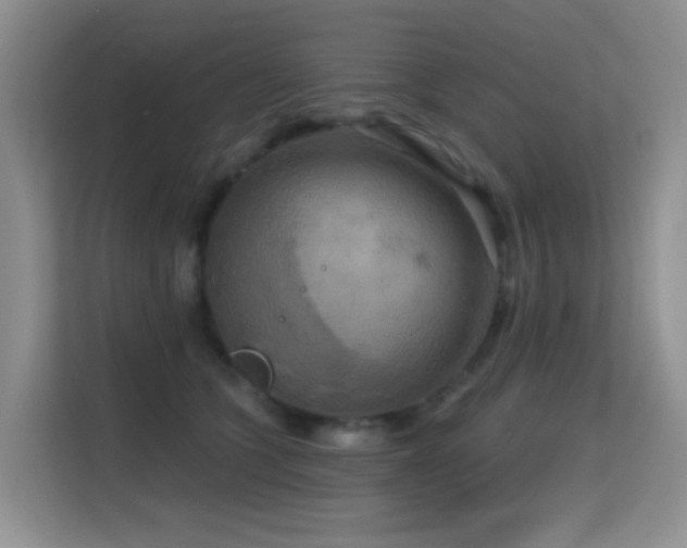 X0000114720563200910211349