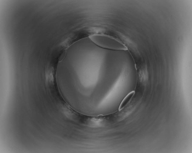 X0000114720570200910211349