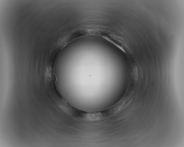 X0000114720571200910211349