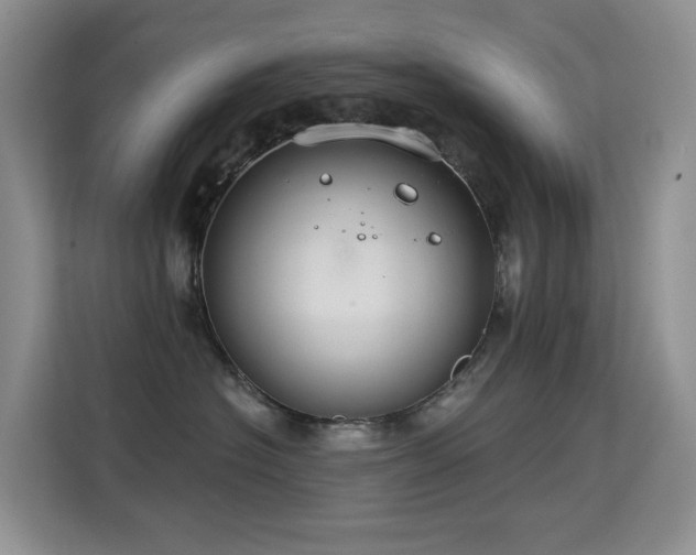 X0000114720574200910211349