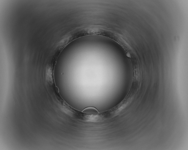 X0000114720575200910211349