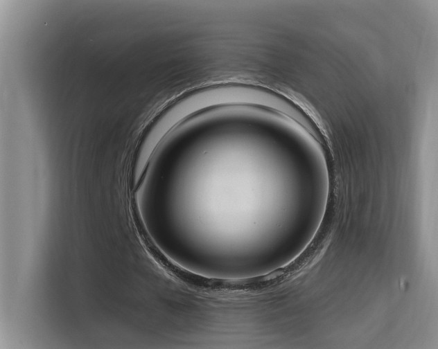 X0000114720577200910211349