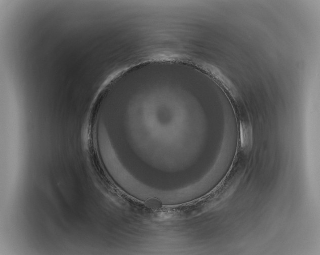 X0000114720579200910211349