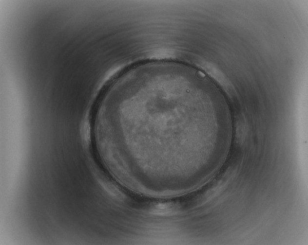 X0000114720584200910211349