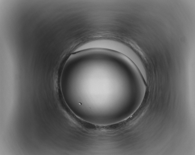 X0000114720585200910211349