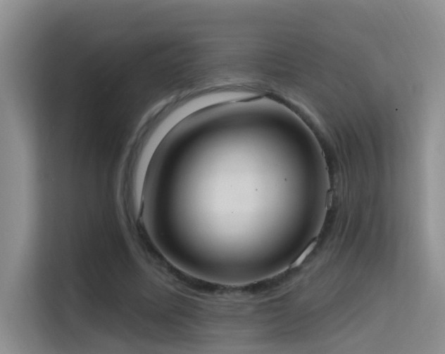 X0000114720587200910211349