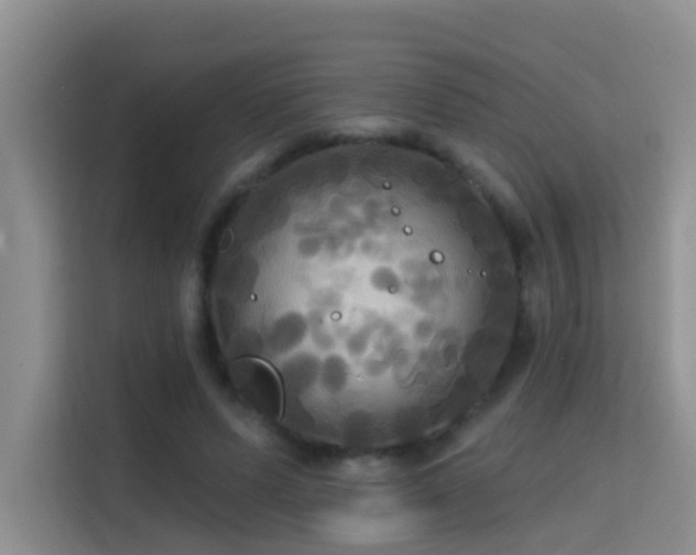 X0000114720591200910211349