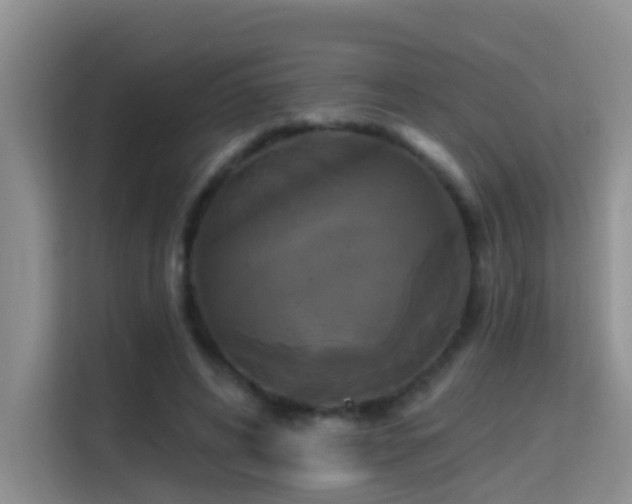 X0000114720592200910211349