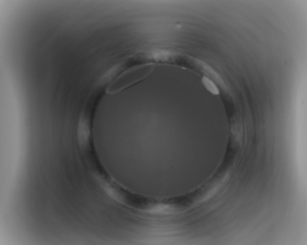 X0000114720593200910211349