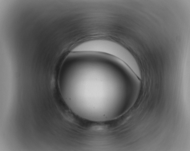 X0000114720595200910211349