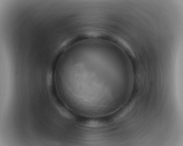 X0000114720596200910211349