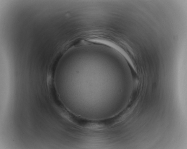 X0000114720597200910211349