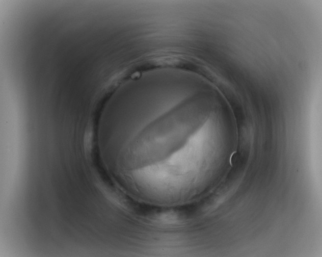 X0000114720600200910211348