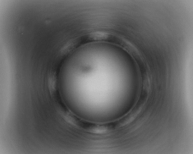 X0000114720604200910211348