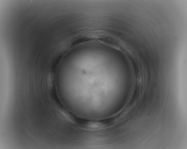 X0000114720605200910211348