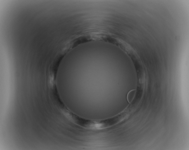 X0000114720610200910211348