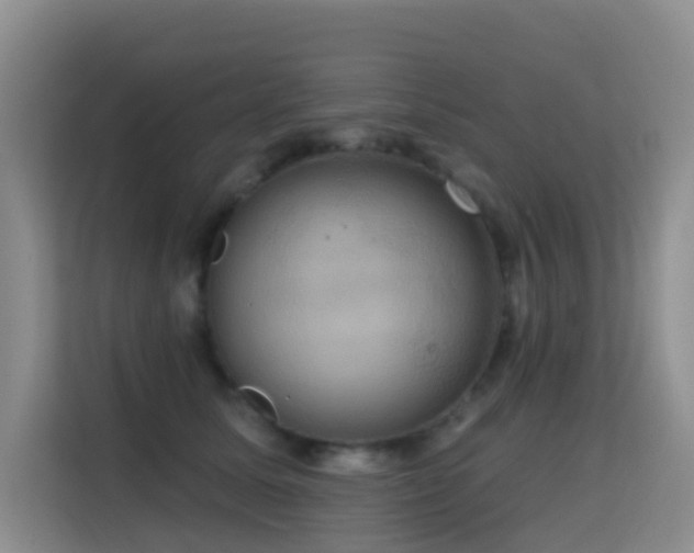 X0000114720611200910211348