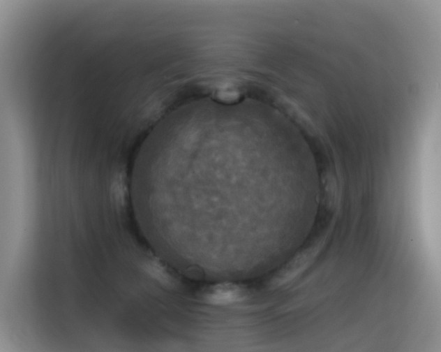 X0000114720612200910211348