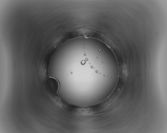 X0000114720615200910211348