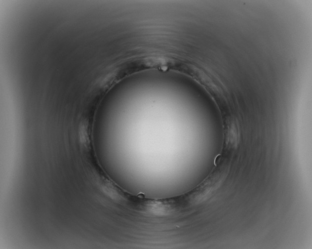 X0000114720616200910211348