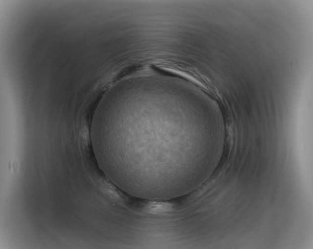 X0000114720617200910211348