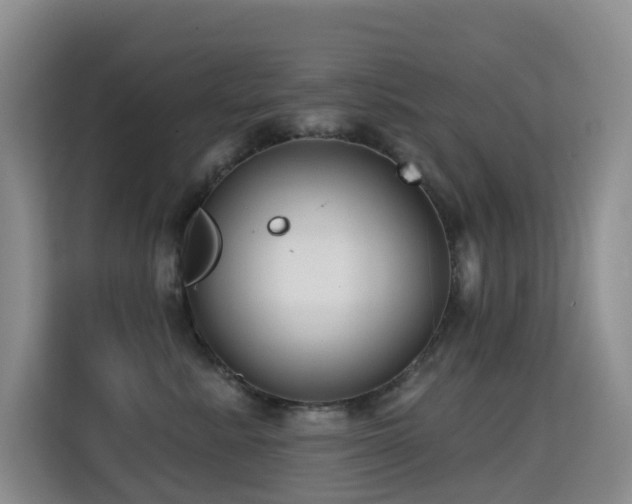 X0000114720619200910211348