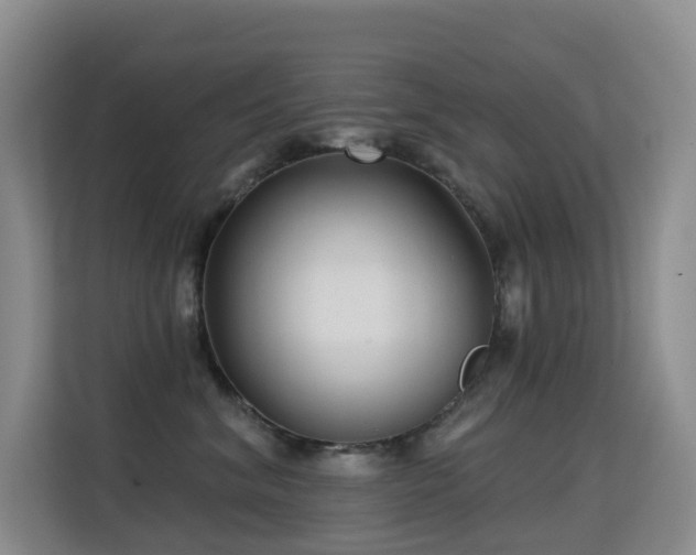 X0000114720620200910211348