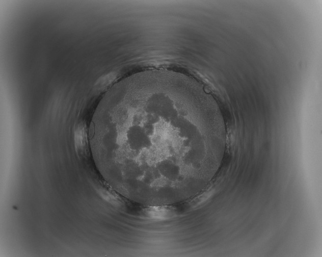 X0000114720623200910211348