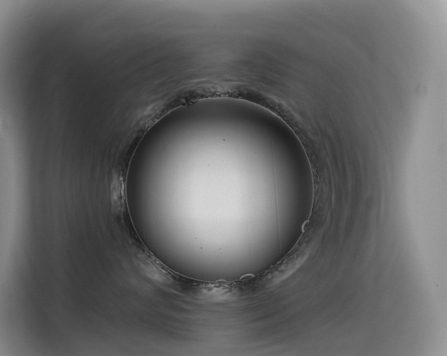 X0000114720624200910211348