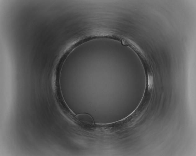 X0000114720627200910211348