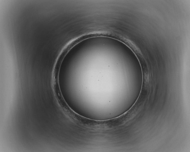 X0000114720628200910211348