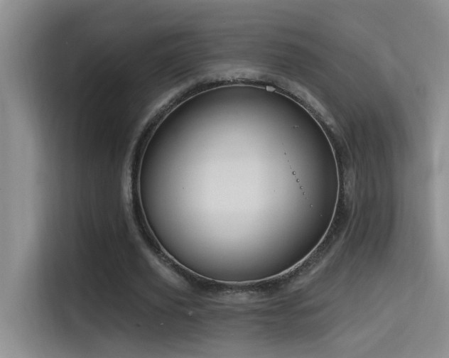 X0000114720629200910211348